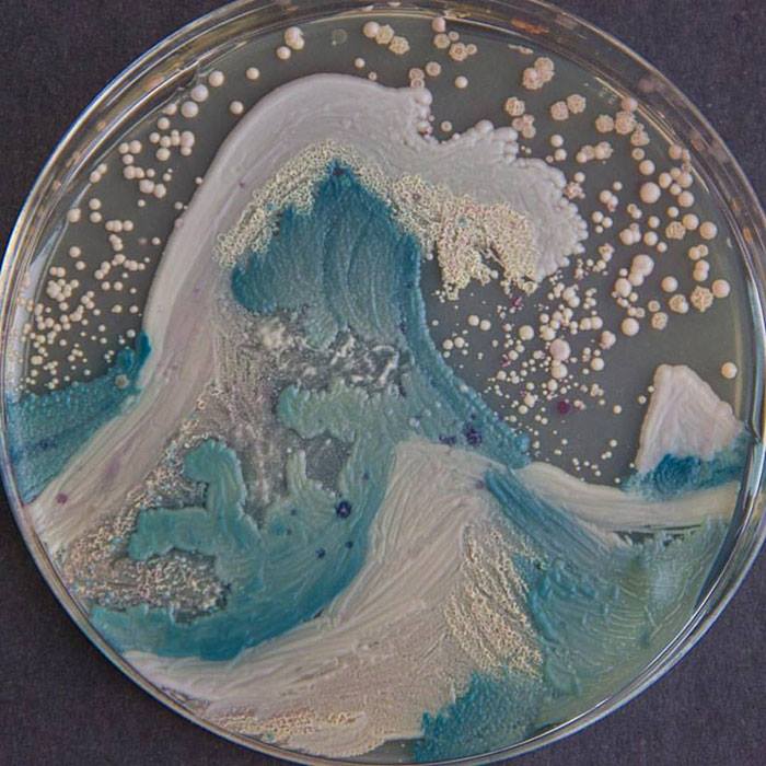 3.	“The Great Wave of Candida” by Cristina Marcos